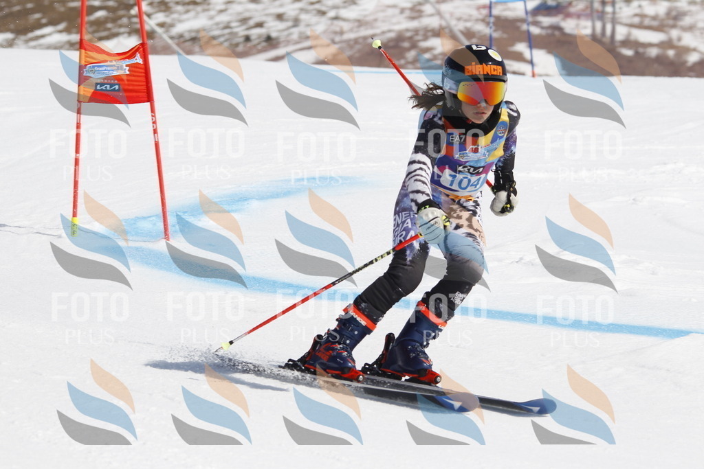 _U3G0382 | holidayphoto