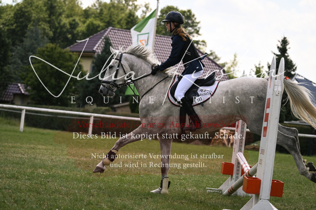 DSC_9298 | Pferde- und Turnierfotografie in Westsachsen. Pferdeportraits, Auftragszeichnungen und intuitive Kunst.