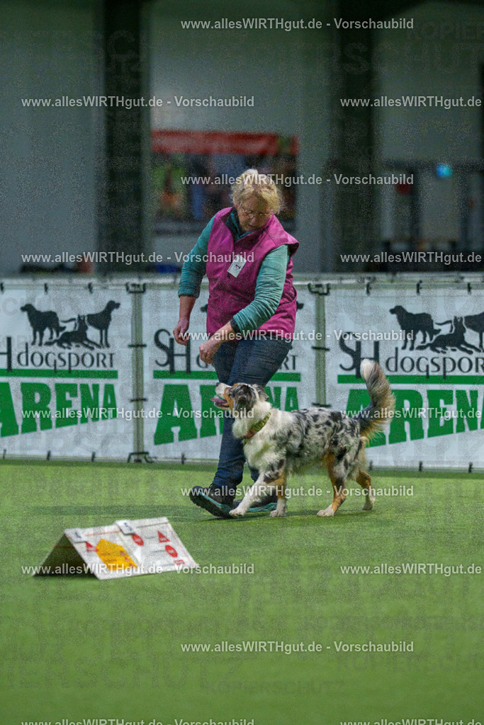7R509548 | Professionelle Tierfotografie in Mönchengladbach von Daniel Wirth (allesWIRTHgut). Liebevolle & natürliche Bilder von Hunden & Katzen für unvergessliche Erinnerungen.