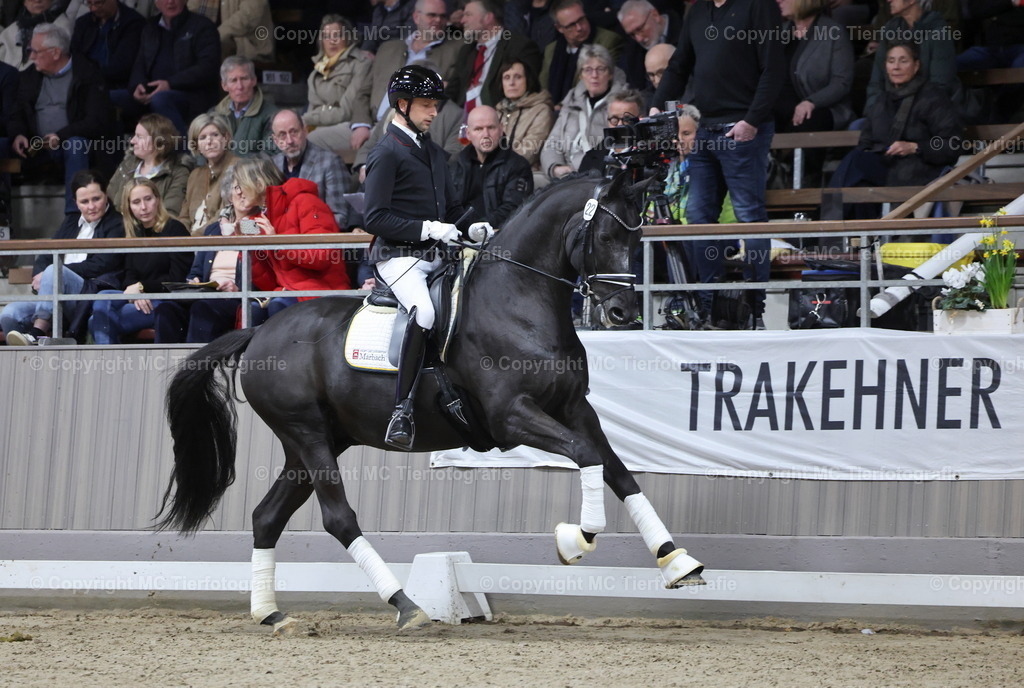 Hengstsch.u.Körung 28.02.-01.03.26Muenster-HaffrufMCTierf.9C8A6795B | Pferdefotos online bestellen - Realisiert mit Pictrs.com