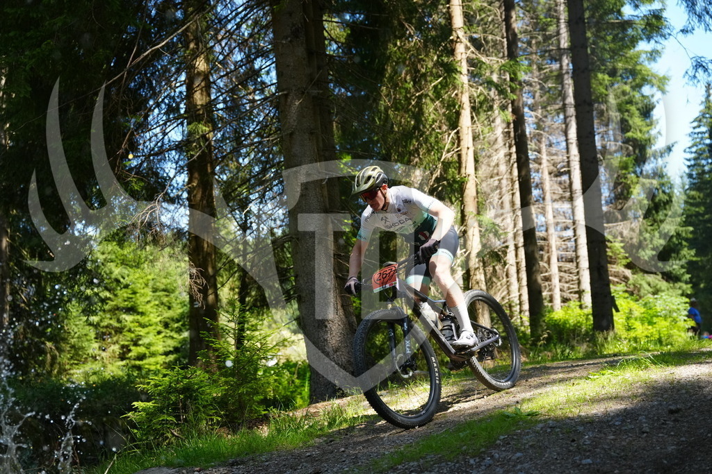 FC101653 | Fotogalerie der Treibjagd im Dunkelwald - Dein MTB Etappenrennen im Erzgebirge - Realisiert mit Pictrs.com