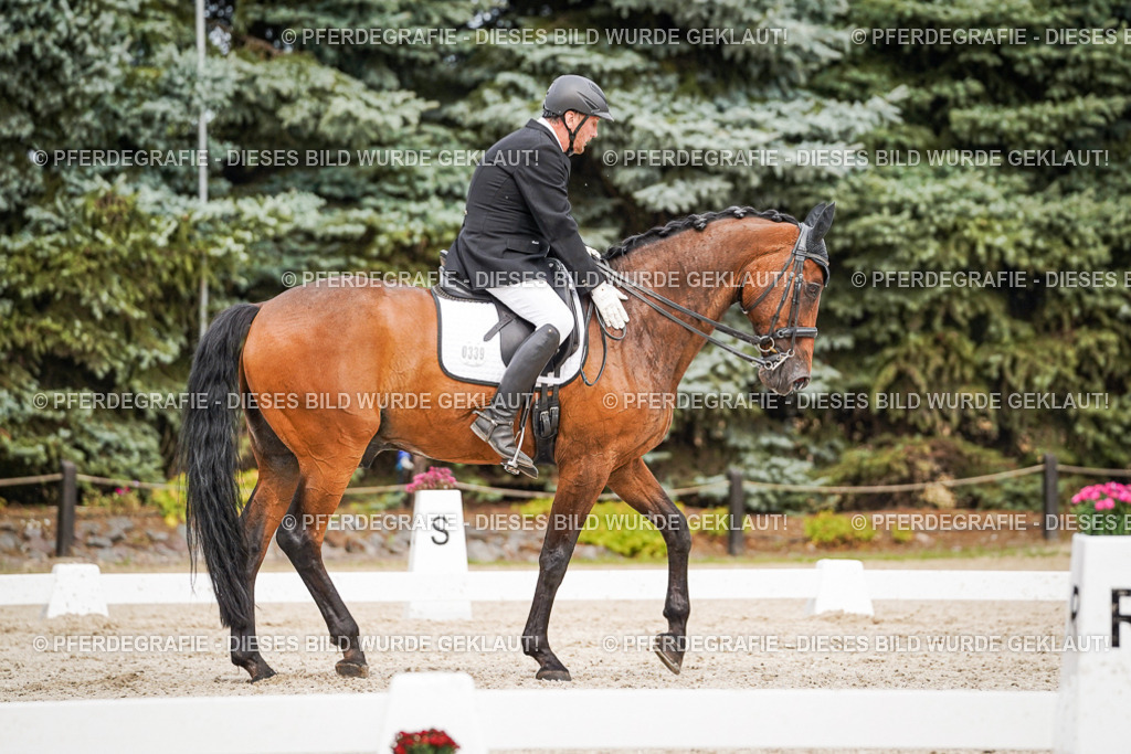 DSC07218 | Pferdegrafie