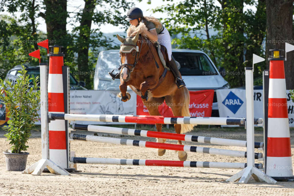 JHE_4561 | JoYa Fotografie - Realisiert mit Pictrs.com