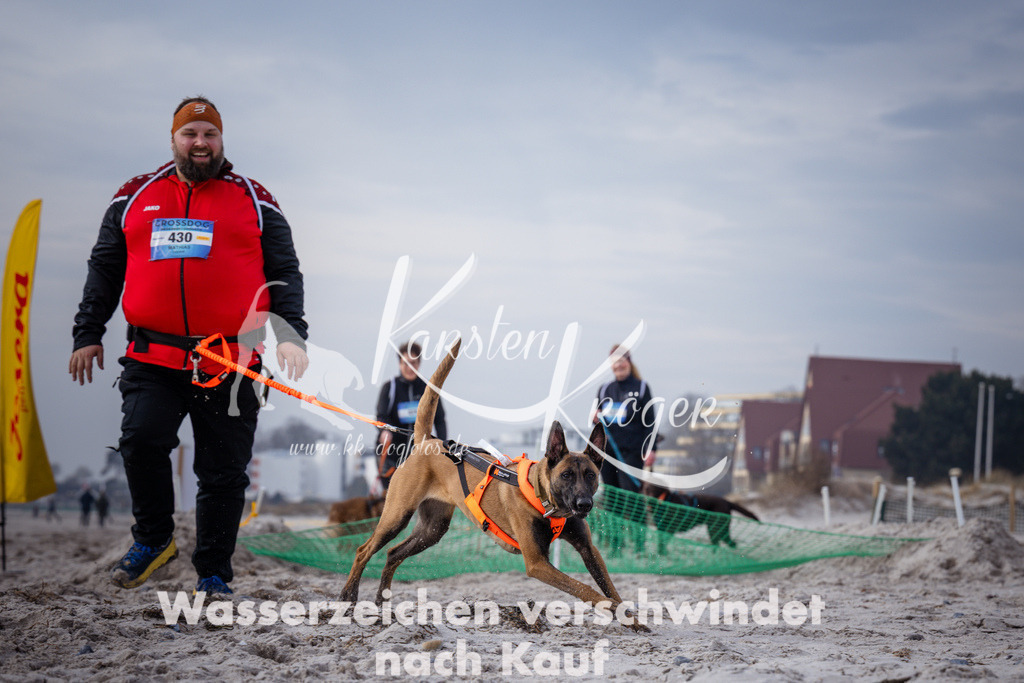 1131_ZZ99227 | kk-dogfotos