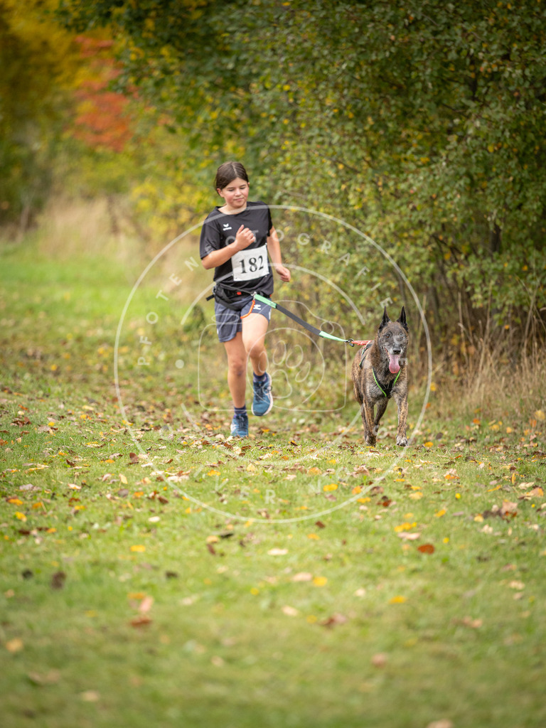 Pfotenfotografie_DV3A3707 | Hundefotografie, Tierfotograf, Pfotenfotografie, Fotoshooting Hund, Hunde Portrait, Hundesport, Hundeportraits, Heideshooting, Hunde, Sportfotograf, Hundefotograf, Turnierhundsport, THS,  - Realisiert mit Pictrs.com