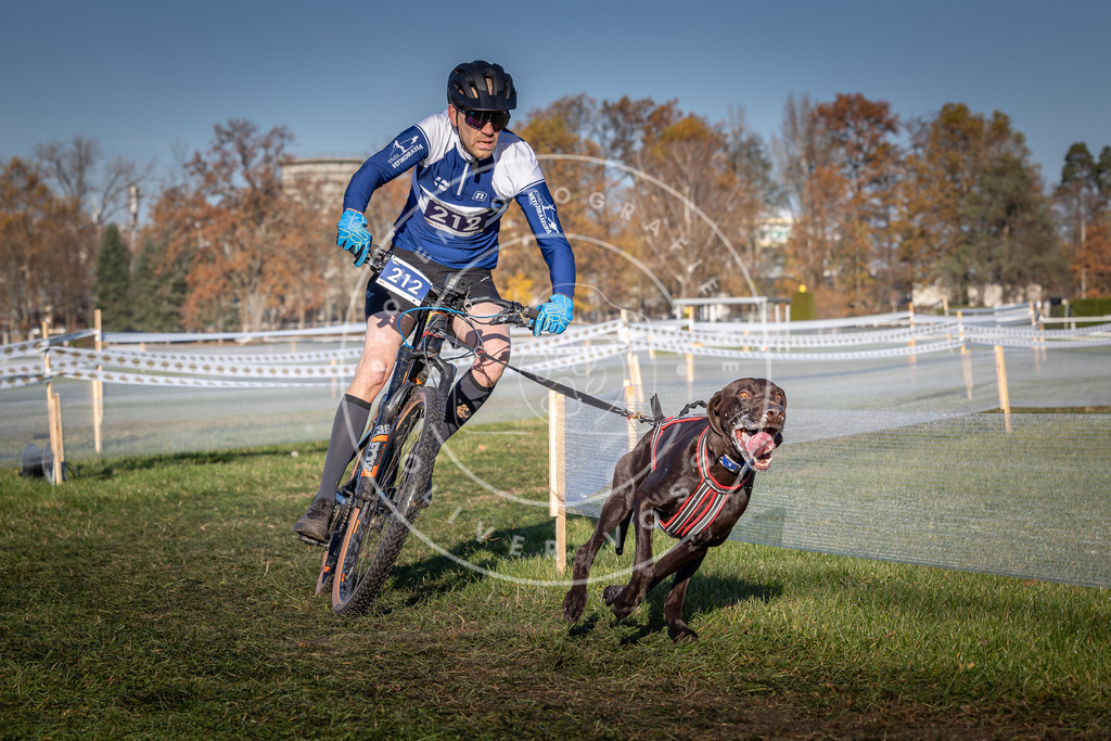CaniXpix_0L8A4568 | Hundefotografie, Tierfotograf, Pfotenfotografie, Fotoshooting Hund, Hunde Portrait, Hundesport, Hundeportraits, Heideshooting, Hunde, Sportfotograf, Hundefotograf, Turnierhundsport, THS,  - Realisiert mit Pictrs.com