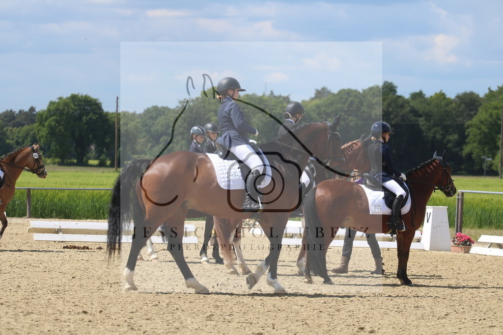 IMG_4598 | jessicahollubetz_pferdephotographie - Realisiert mit Pictrs.com