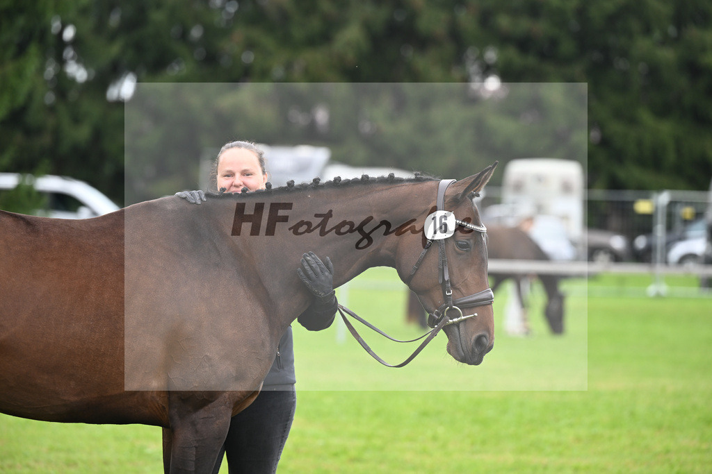 Kat-Nr. 16 Elektra v. Kipper_Wallochny_30250347 | hf-fotografie - Realisiert mit Pictrs.com