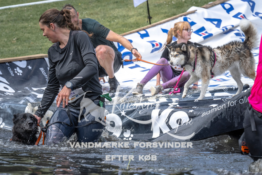 1259_ZZ99631 | kk-dogfotos