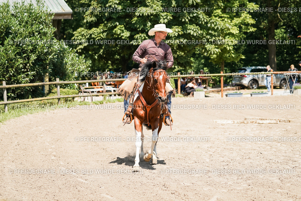 DSC07431 | Pferdegrafie