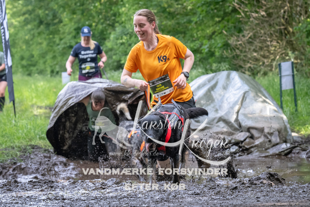1347_ZZ92353 | kk-dogfotos