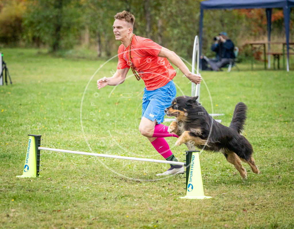 Pfotenfotografie_DV3A1194 | Hundefotografie, Tierfotograf, Pfotenfotografie, Fotoshooting Hund, Hunde Portrait, Hundesport, Hundeportraits, Heideshooting, Hunde, Sportfotograf, Hundefotograf, Turnierhundsport, THS,  - Realisiert mit Pictrs.com