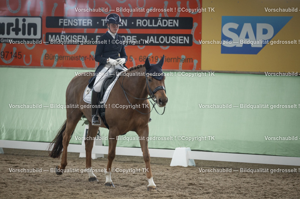 _D5A6173 | Emotionale Pferde- & People-Fotografie rund um Heidelberg, Leimen & Umgebung. Natürliche Fotos von Pferd, Mensch & Familie. Jetzt Termin sichern!