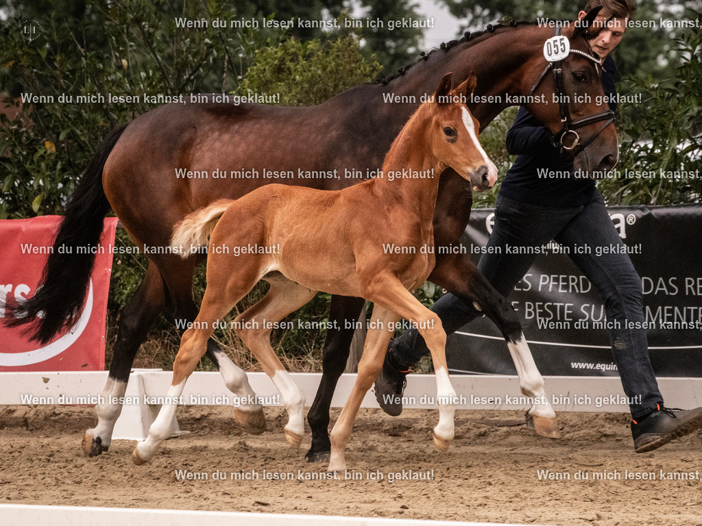 A10I5556 | photographylinaismer - Realisiert mit Pictrs.com