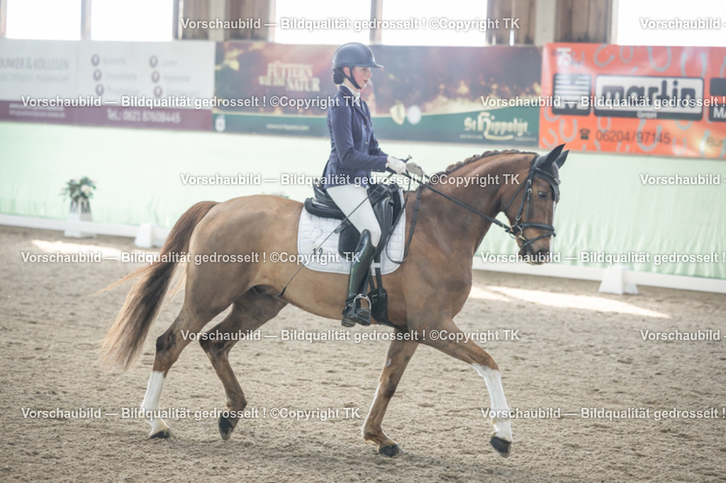 _D5A0607 | Emotionale Pferde- & People-Fotografie rund um Heidelberg, Leimen & Umgebung. Natürliche Fotos von Pferd, Mensch & Familie. Jetzt Termin sichern!