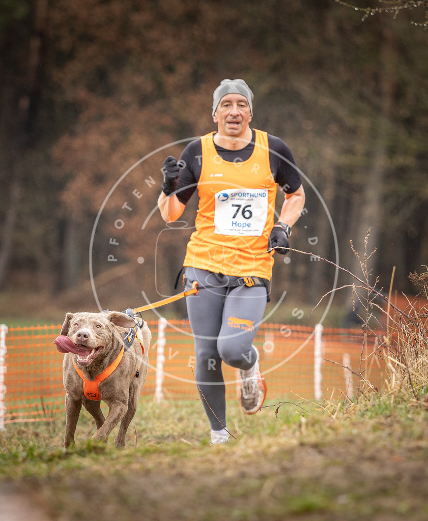 DV3A0291 | Hundefotografie, Tierfotograf, Pfotenfotografie, Fotoshooting Hund, Hunde Portrait, Hundesport, Hundeportraits, Heideshooting, Hunde, Sportfotograf, Hundefotograf, Turnierhundsport, THS,  - Realisiert mit Pictrs.com