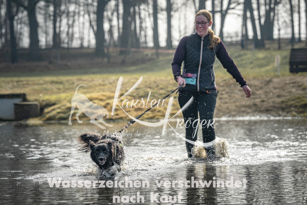 0951_ZZ94292 | kk-dogfotos