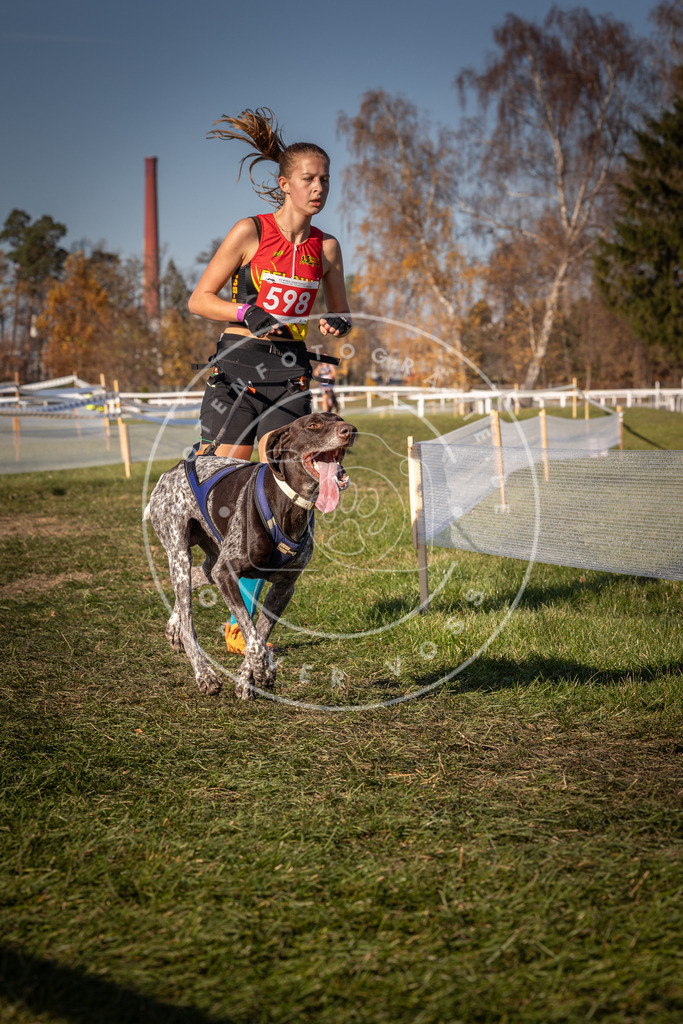 CaniXpix_0L8A8484 | Hundefotografie, Tierfotograf, Pfotenfotografie, Fotoshooting Hund, Hunde Portrait, Hundesport, Hundeportraits, Heideshooting, Hunde, Sportfotograf, Hundefotograf, Turnierhundsport, THS,  - Realisiert mit Pictrs.com