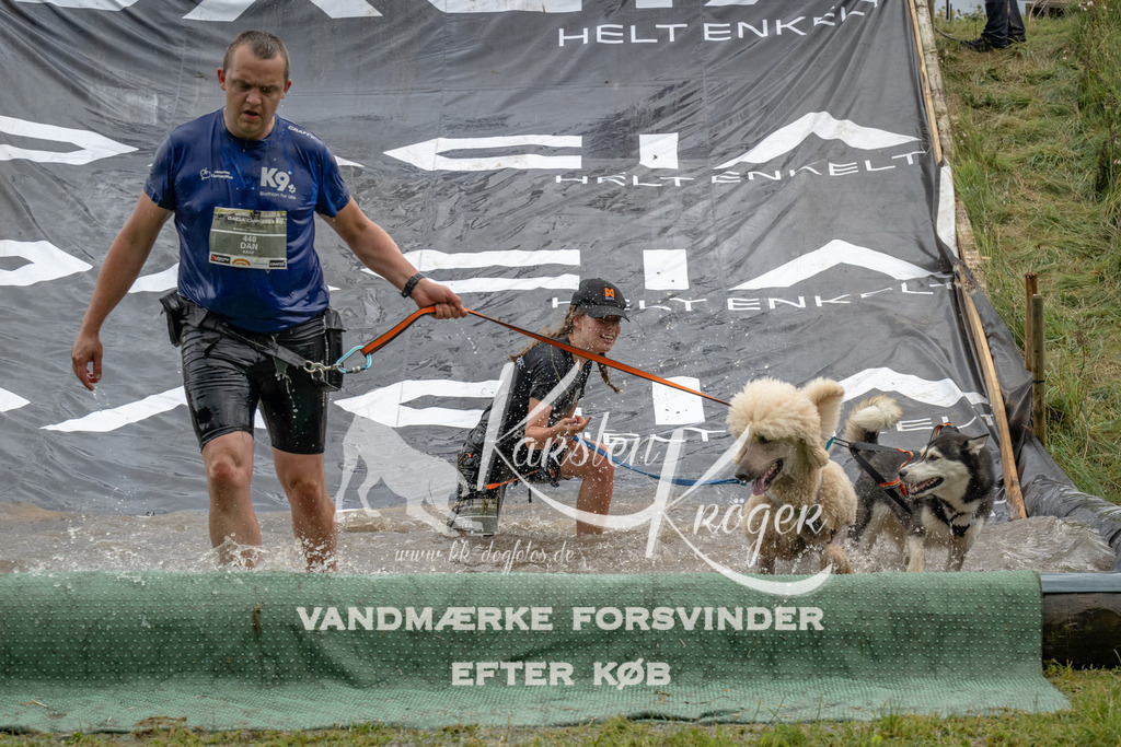 1547_ZZ90640 | kk-dogfotos