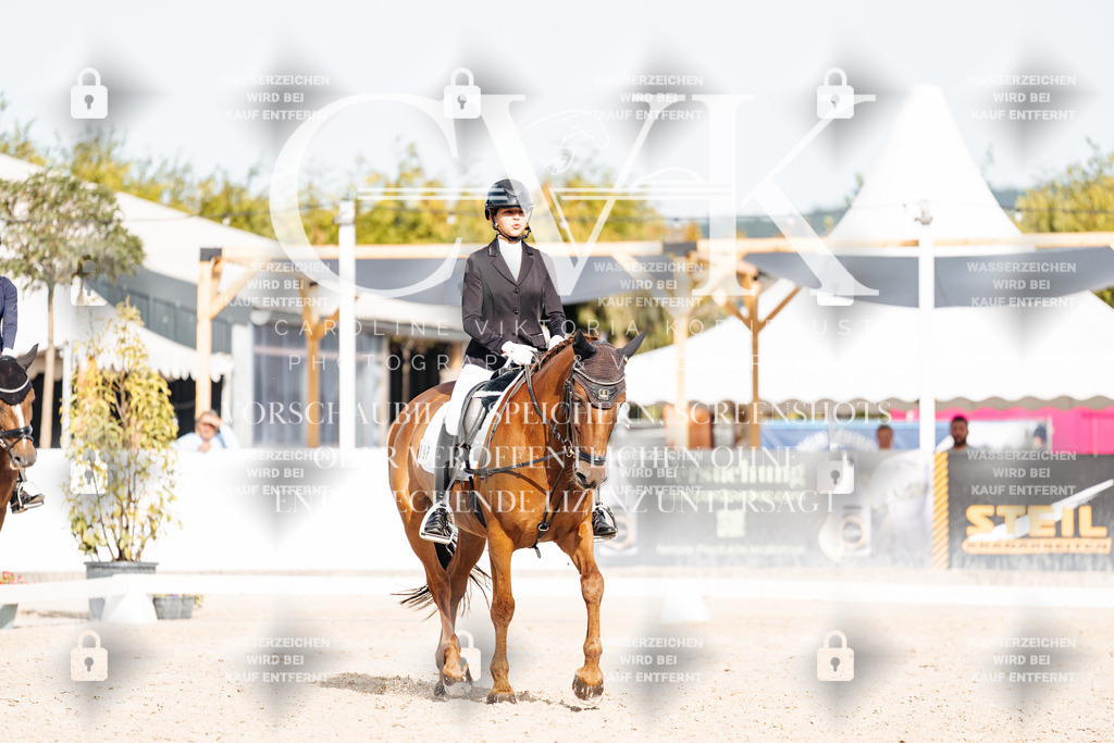 CK905119 | Turnierfotografie Pferdefotografie Trier Rheinland-Pfalz Pferdesport Reitsport Tierfotografie Sportfotografie Pferdevideo Pferdevideografie Equestrianvideography equestrianphotography  - Realisiert mit Pictrs.com