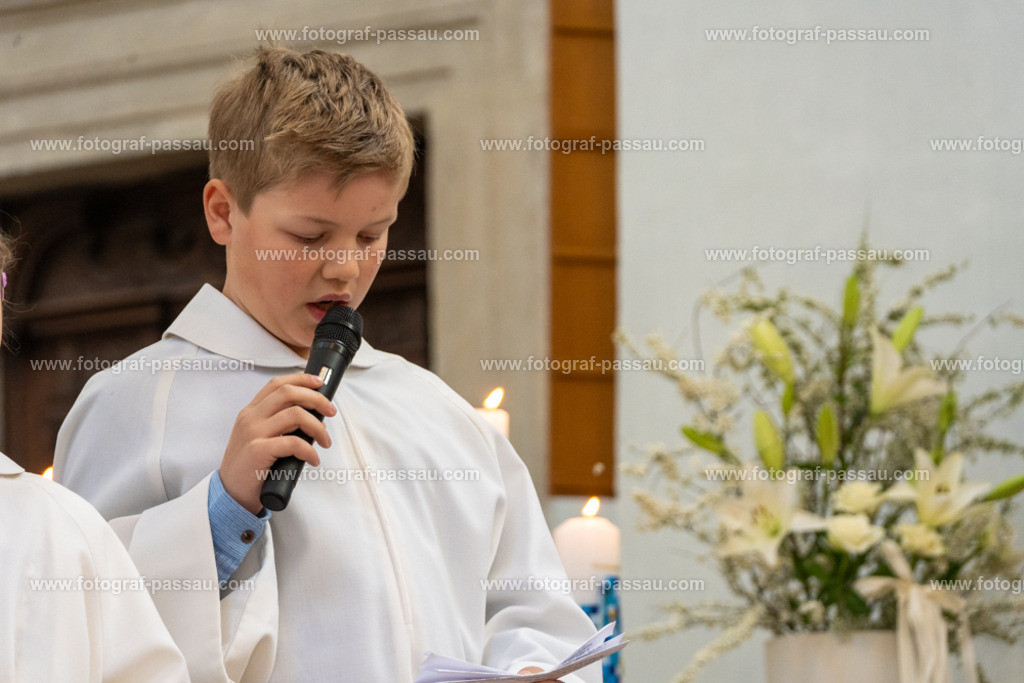 A7V02791 | Hier finden Sie die Online Foto-Galerie von fotograf-passau.com und marius-handrugan.de. Suchen Sie sich direkt Ihre Lieblingsbilder aus, ob als Ausdruck oder Download. - Realisiert mit Pictrs.com