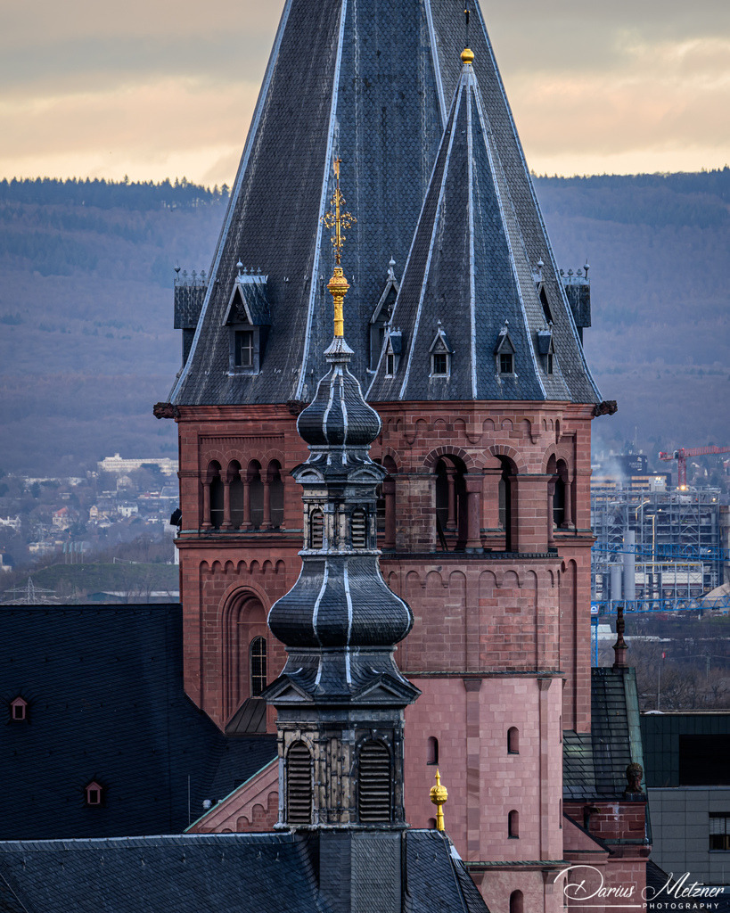 Der Hohe Dom St. Martin zu Mainz | Der Hohe Dom St. Martin zu Mainz