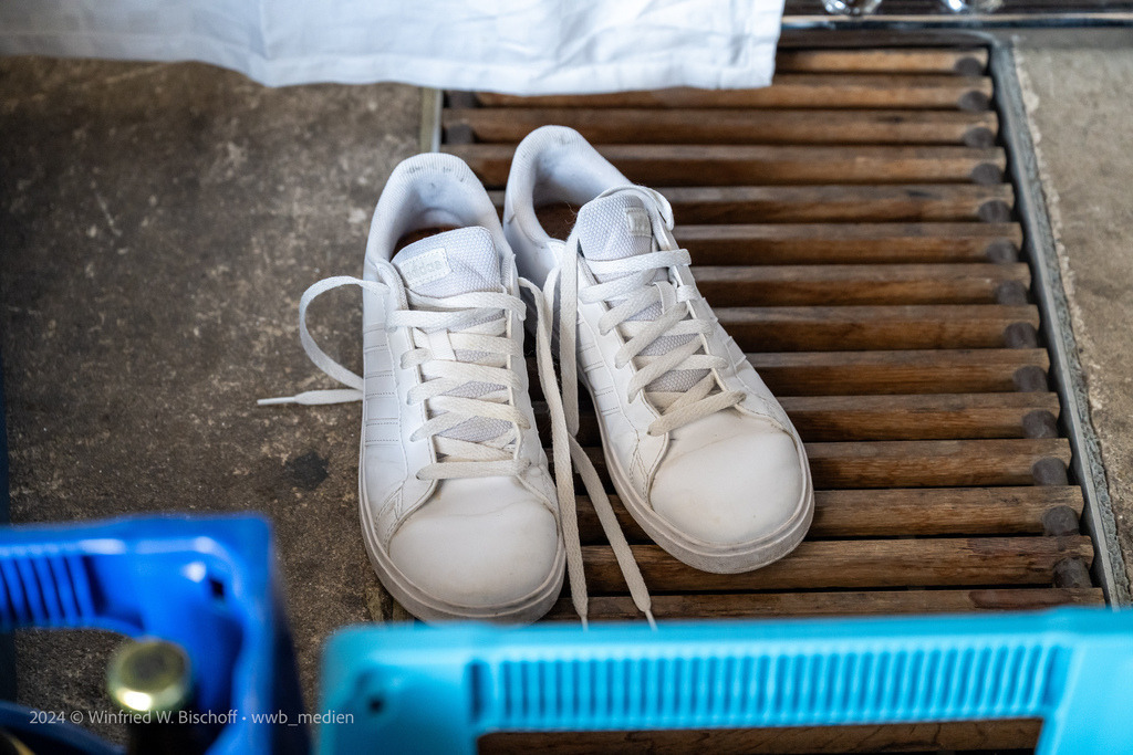 wwb-2505-0651 HZ Barreis | <Fotografie> <Video> <Film> <Winfried Bischoff> - Realisiert mit Pictrs.com