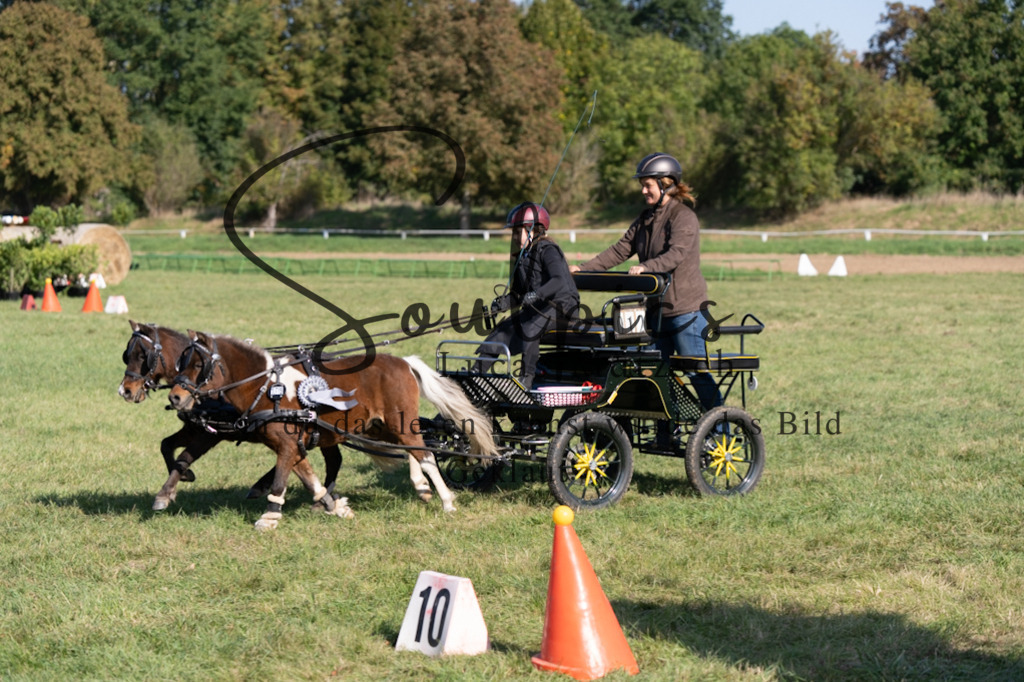 A7V04435 | Pferdefotograf