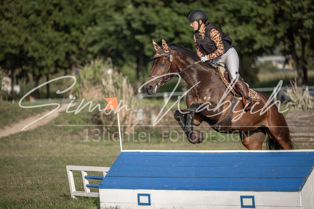 20250907-_3LI8405 | Tierfotografie Pferde, Hunde, Katzen, Haustiere.
Turnierfotografie Reitturniere, Reiten, Springreiten, Dressur in Hanau, dem Main-Kinzig-Kreis und dem Rhein-Main- Gebiet um Frankfurt