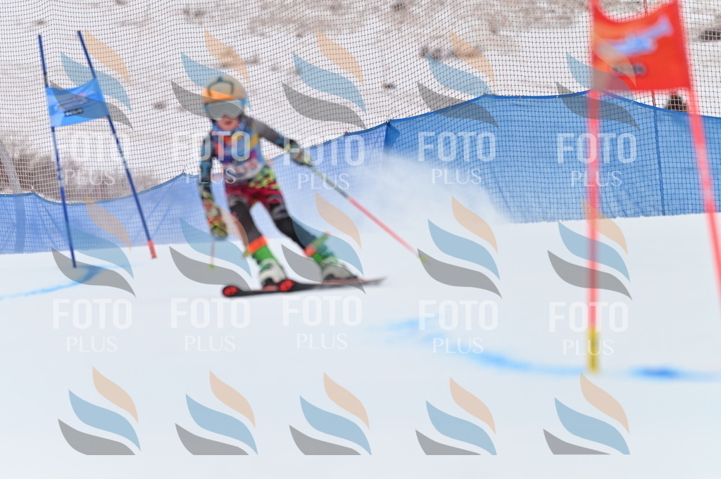 BGV_9801 | holidayphoto