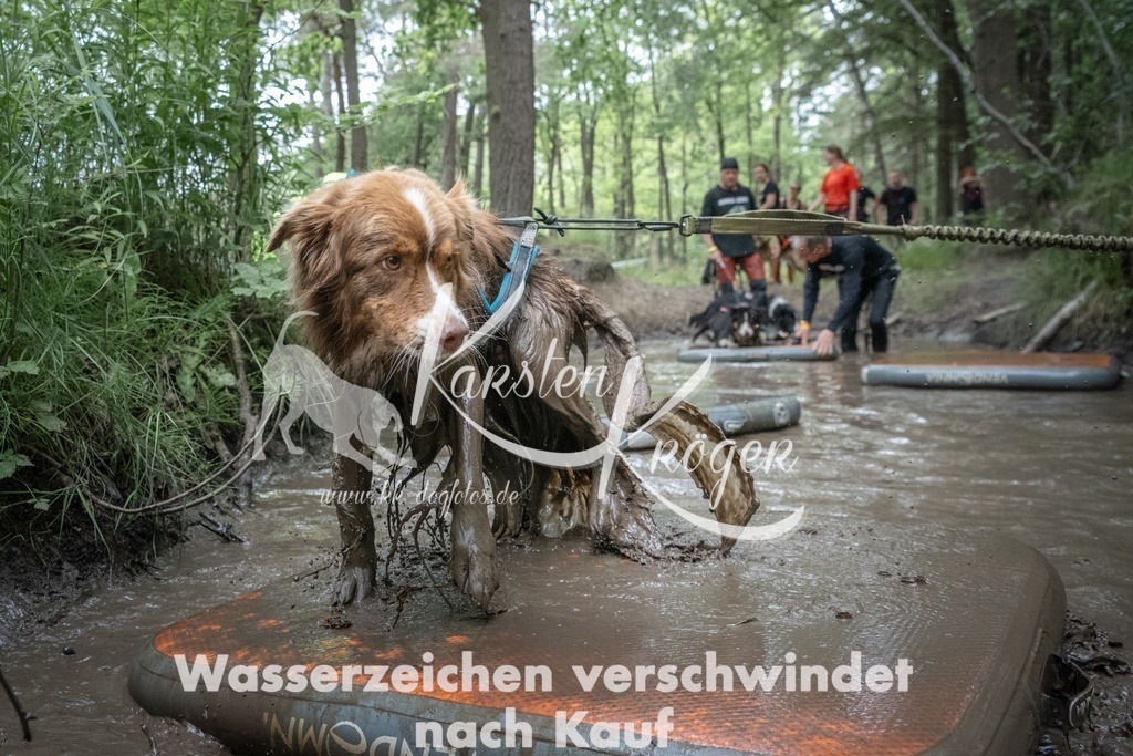 1259_ZZ91923T | kk-dogfotos