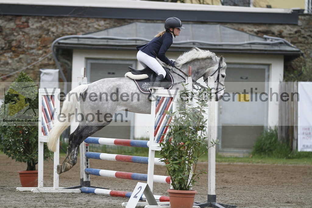 _MG_4372 | equestrian-live-com