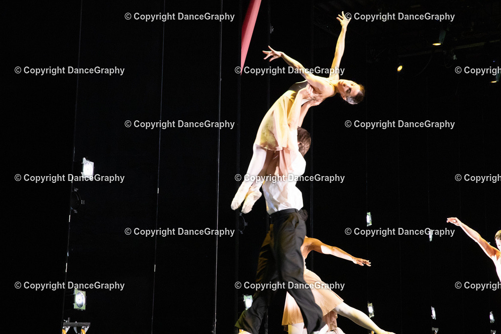 GPHY6314 | DanceGraphy - Realisiert mit Pictrs.com