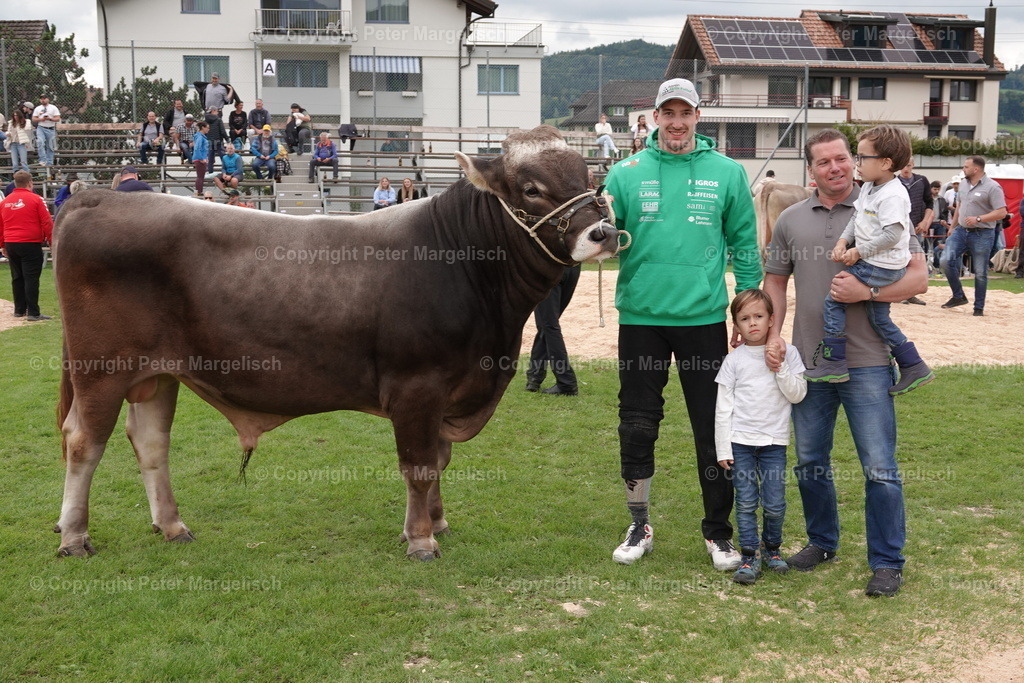 DSC02092 | Schwingen - Realisiert mit Pictrs.com