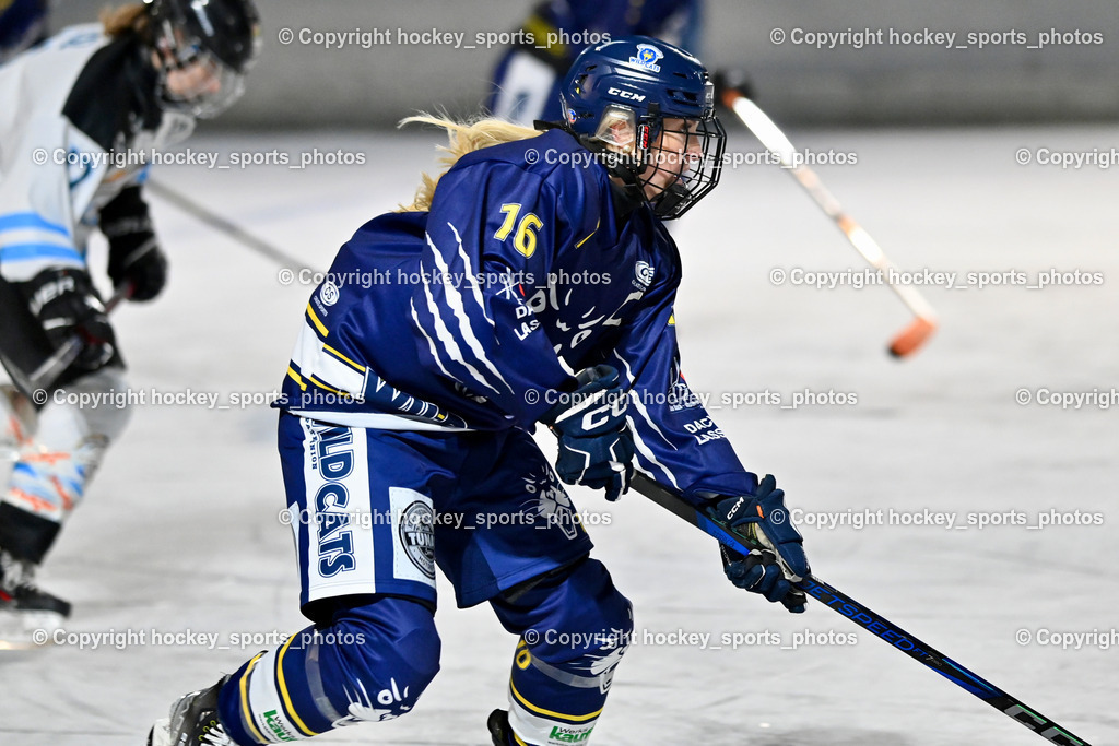 Wildcats Paternion vs. Unicorns Steindorf | #16 Anton Sandra WILDCATS PATERNION, Wildcats Paternion vs. Unicorns Steindorf, Wildcats Paternion vs. Unicorns Steindorf am 02.01.2026 in Paternion (Eislaufplatz Paternion), Austria, (Photo by Bernd Stefan)