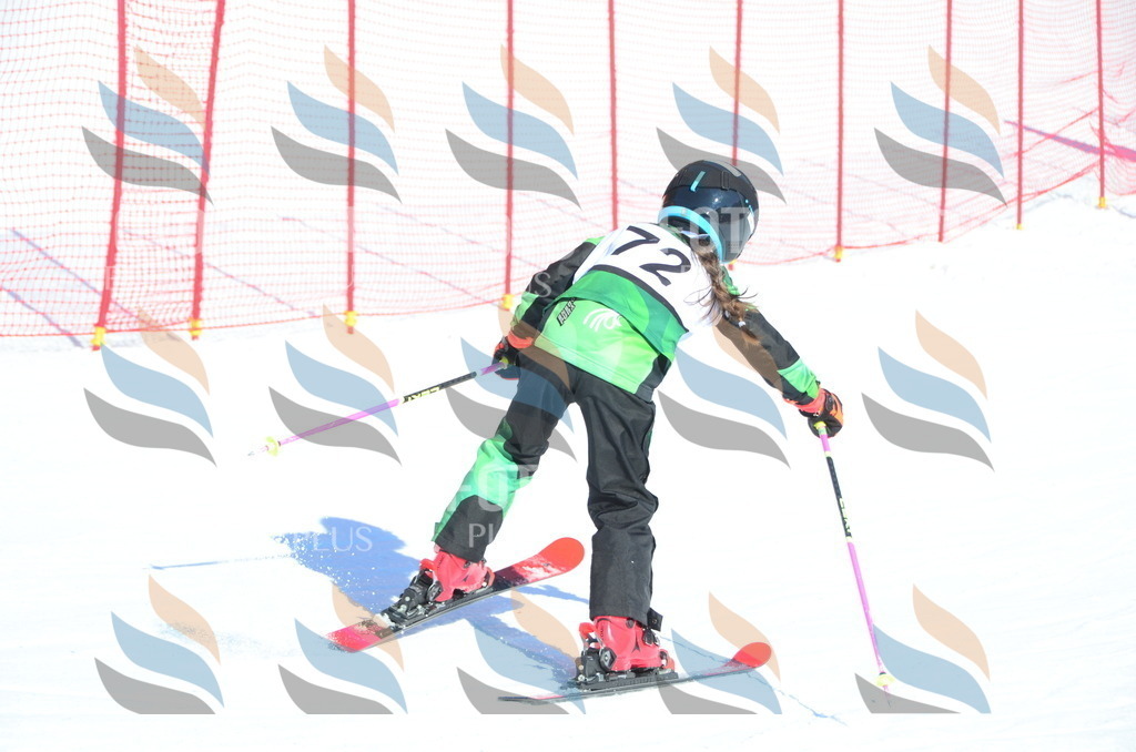 C5504 | holidayphoto