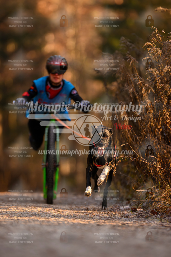 MompixPhotography_DM_AKDM_SO_2025_Scooter-167 | PayLife