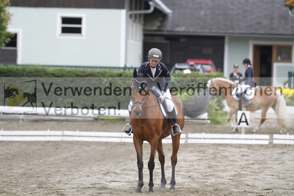 _MG_0881 | equestrian-live-com