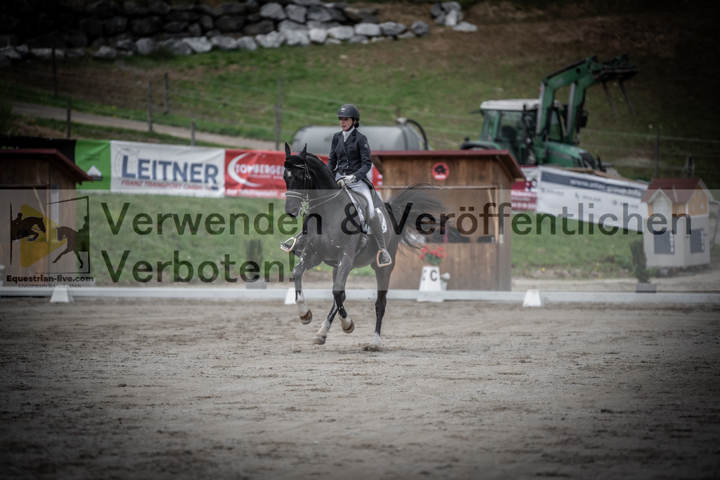 DSC_2785 | equestrian-live-com
