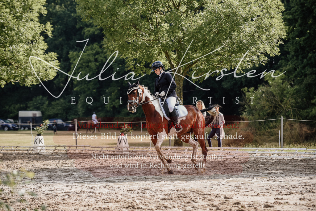 DSC_8766 | Pferde- und Turnierfotografie in Westsachsen. Pferdeportraits, Auftragszeichnungen und intuitive Kunst.