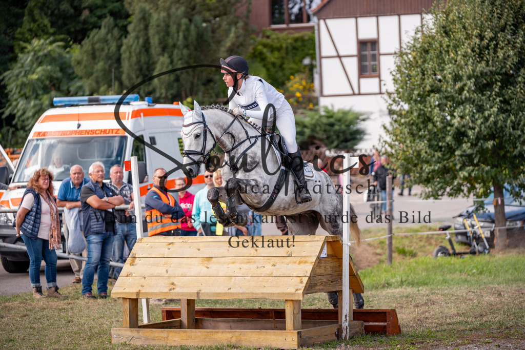 A7V01158 | Pferdefotograf