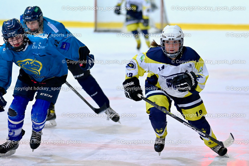 BST_6521 | hockey sports photos, Pressefotos, Sportfotos, hockey247, win 2day icehockeyleague, Handball Austria, Floorball Austria, ÖVV, Kärntner Eishockeyverband, KEHV, KFV, Kärntner Fussballverband, Österreichischer Volleyballverband, Alps Hockey League, ÖFB, 