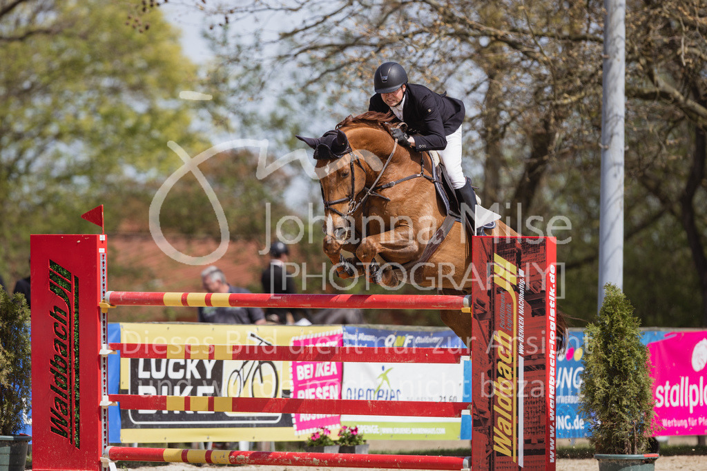 230501_SpengeW_M2St-221 | Deine schönsten Turniermomente als professionelle Fotos! Entdecke hochwertige Pferdesport-Fotografie im Online-Shop. Jetzt Fotos finden & bestellen!