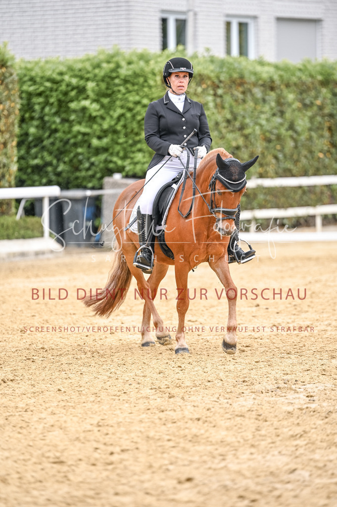 Schugtsche-Aluta25-41.Amat-Dressurprf.A_-573 | Schugtsche Fotografie - Realisiert mit Pictrs.com