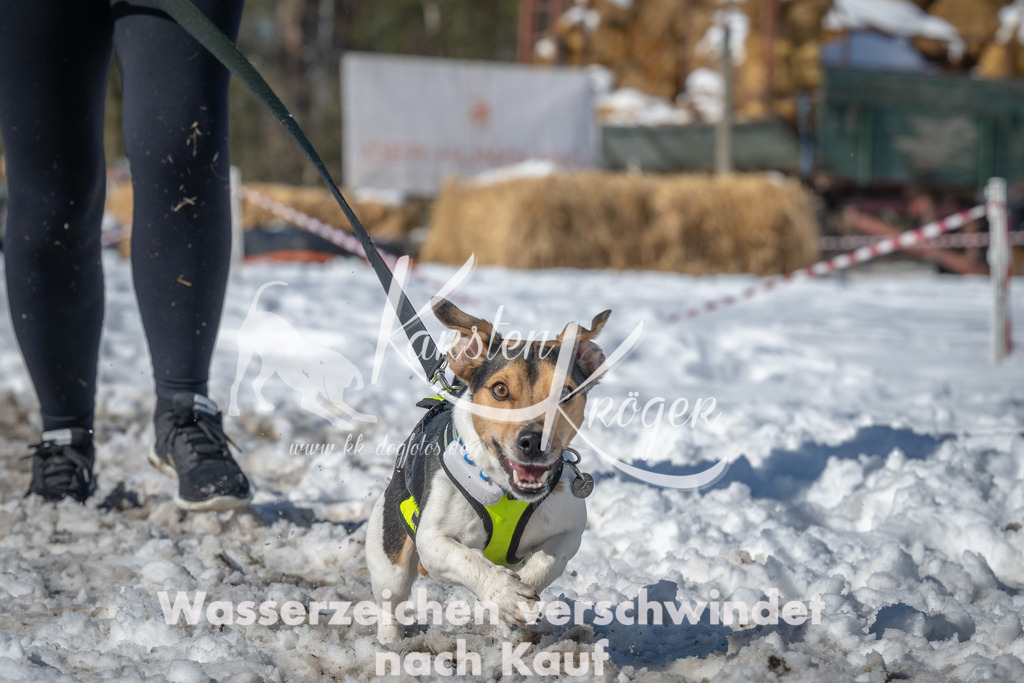 1146_ZZ91049-4 | kk-dogfotos