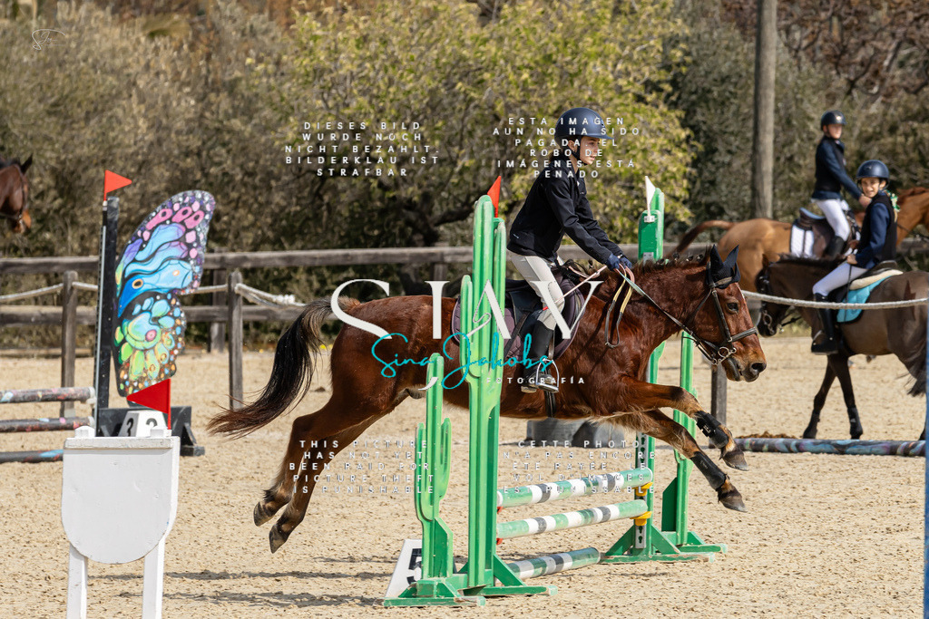 IMG_3082 | s-jay-photography - Realisiert mit Pictrs.com