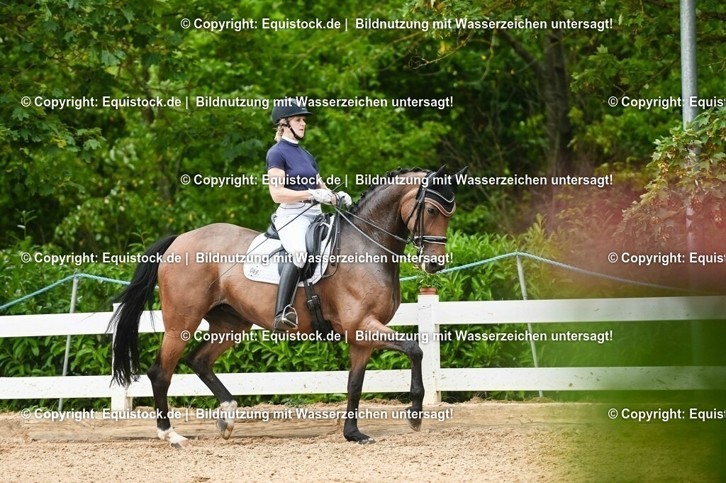 20230716_01_Dressurprüfung Kl.M_0428 | equistock