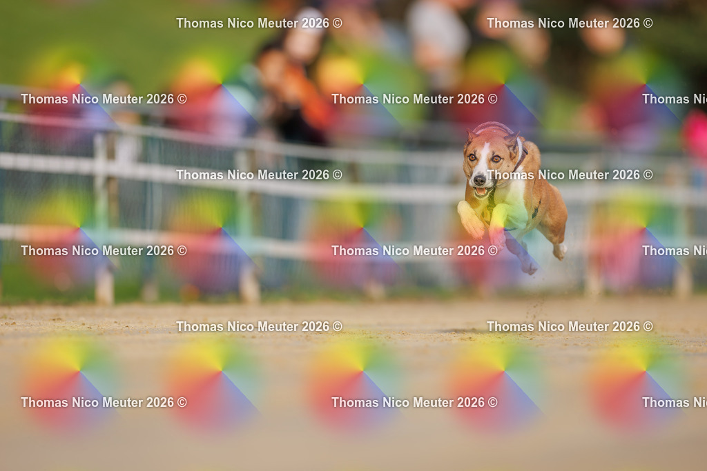 Thomas_Nico_Meuter(C)_03. Oktober 2026_223A0617 | Bild von Thomas Nico Meuter - Realisiert mit Pictrs.com