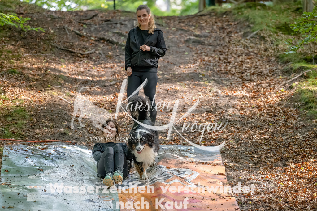 1153_ZZ92958-Bearbeitet | kk-dogfotos