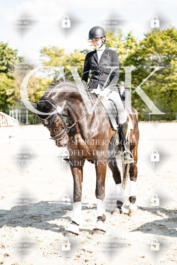 CK703555 | Turnierfotografie Pferdefotografie Trier Rheinland-Pfalz Pferdesport Reitsport Tierfotografie Sportfotografie Pferdevideo Pferdevideografie Equestrianvideography equestrianphotography  - Realisiert mit Pictrs.com